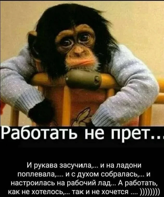 Юмор | Приколы | Мемы 👇🏻