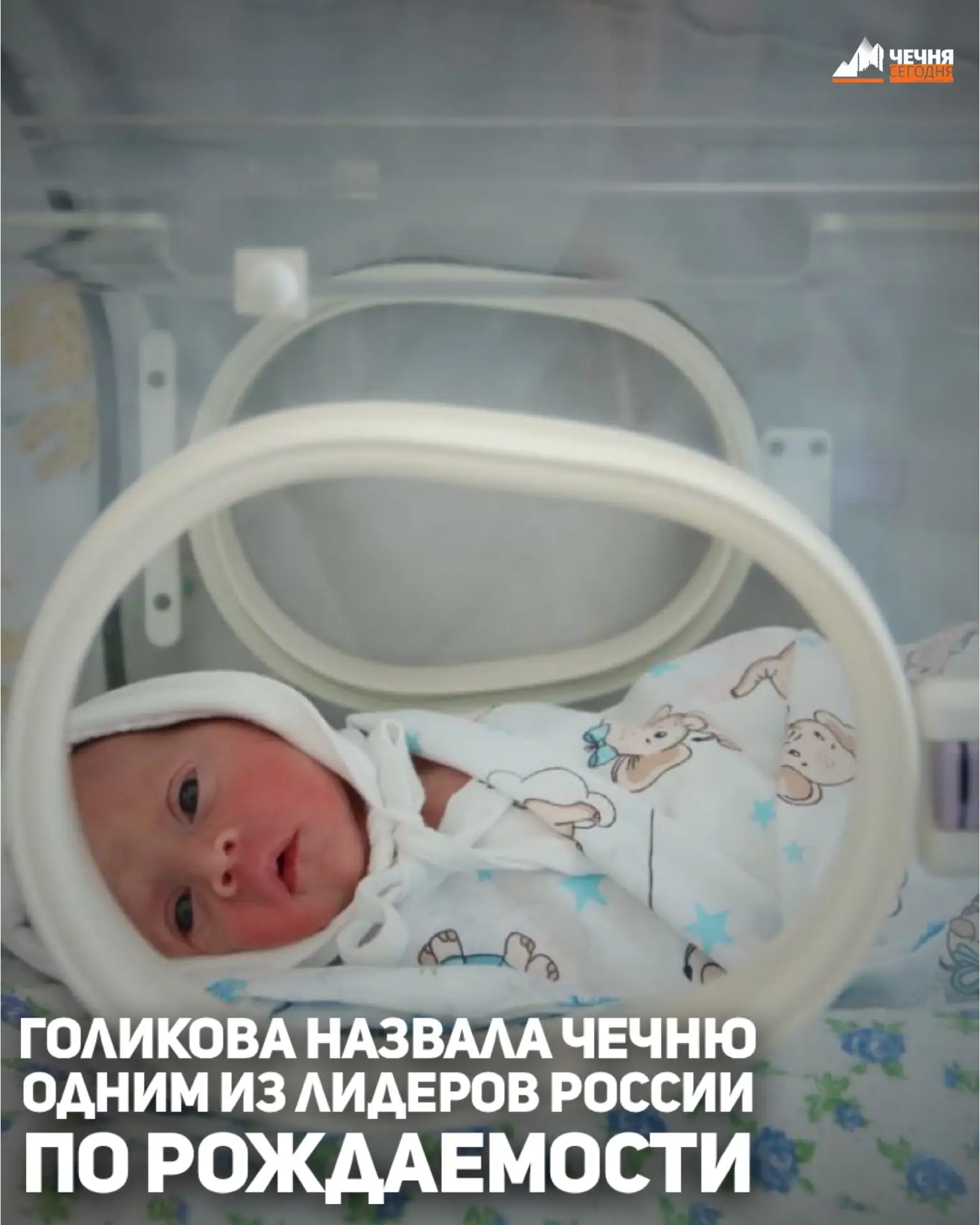 Чеченская Республика и Тыва сохраняют лидирующие позиции среди регионов России по коэфф...