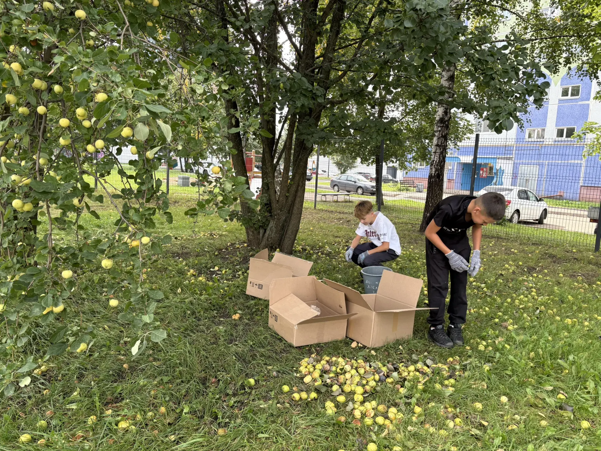 🍂 Осенняя пора — особое время: природа надевает золотые наряды, а на пришкольном участ...