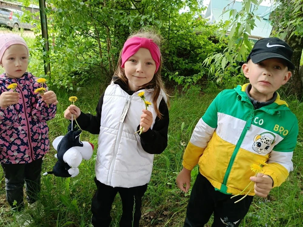 🌿 Одуванчик золотой