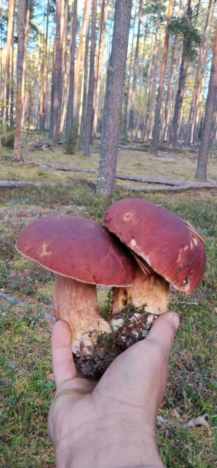 Во какой улов 😃