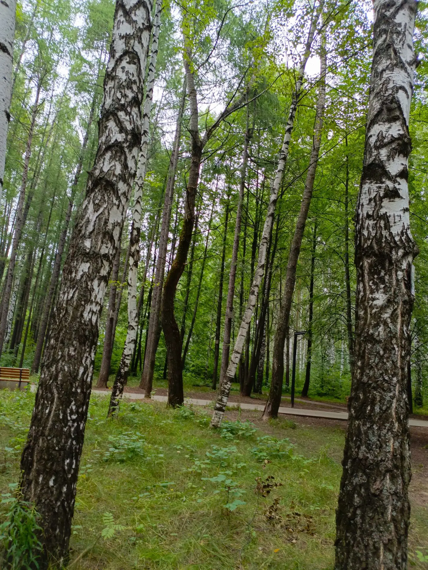 Доброго вечера, дорогие🤗 Кто со мной давно,  знают, что сейчас мы с младшим сыном Рома...