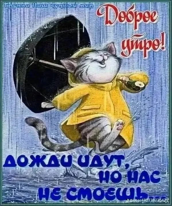 С утречком 🌄