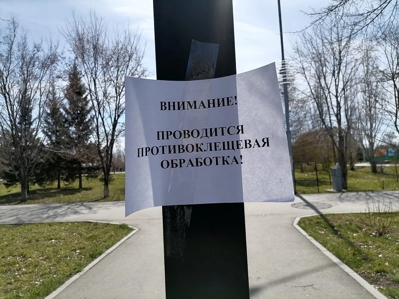 Обработают от клещей парки, скверы и рощи Бердска в ночь с 30 апреля на 1 мая  Администрация опубл