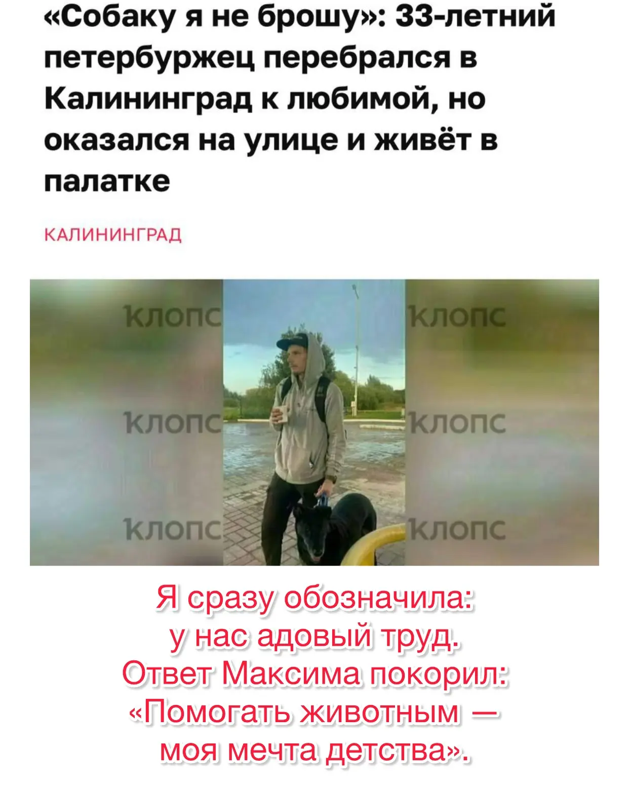 Судьба сталкивает людей не просто так: как мы нашли помощника в #тимвилль!