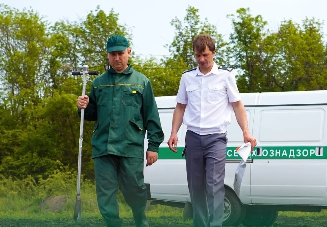 Земля, прощай! 
 
В Вологодской области изымают участки у нерадивых хозяев 

Вологодские власти бьют
