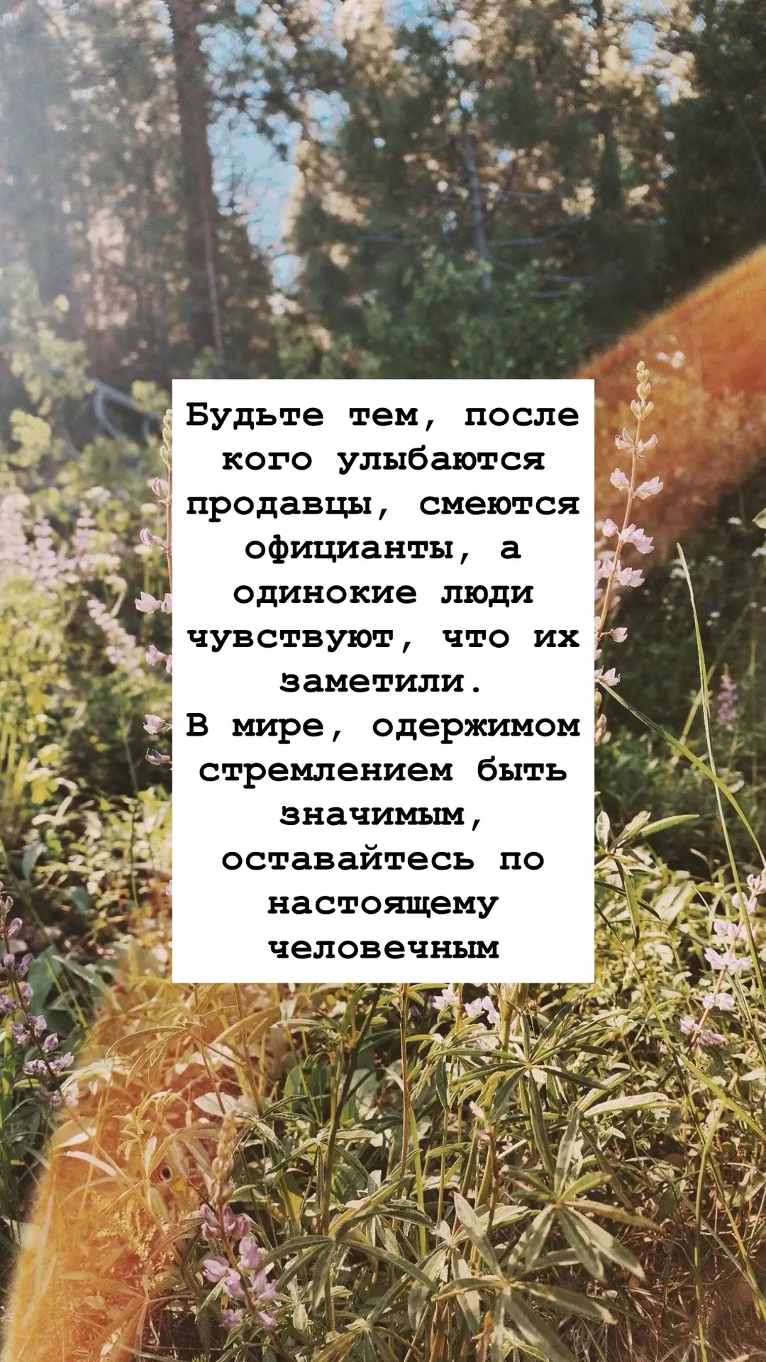 #Напоминание