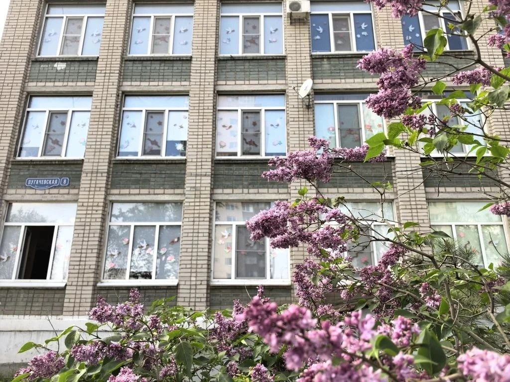 ⭐✨Гимназия готова к празднику Победы!  Уже завтра наша страна будет отмечать великий праздник — День