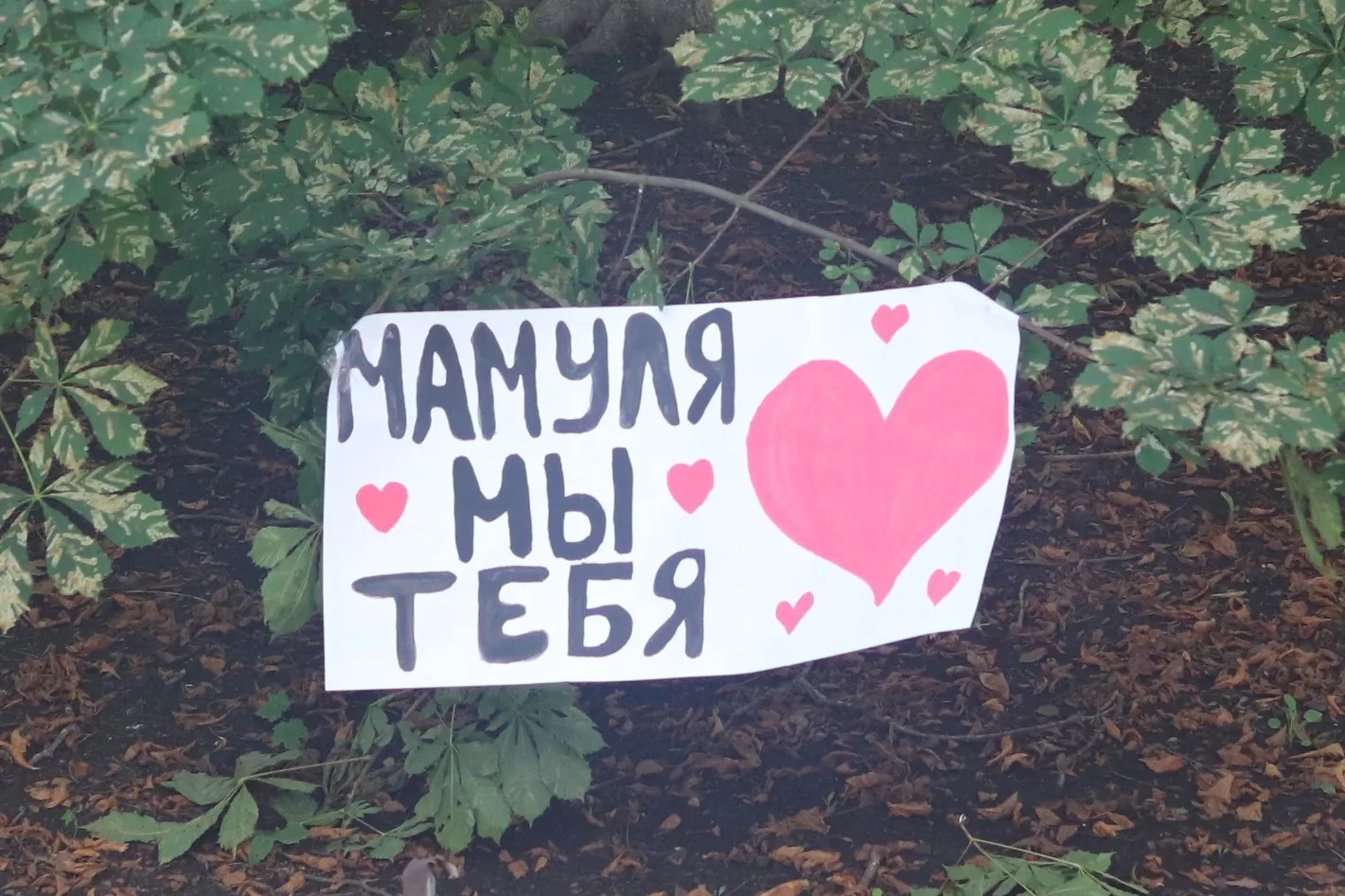Иногда самое ценное умещается всего в трёх словах.