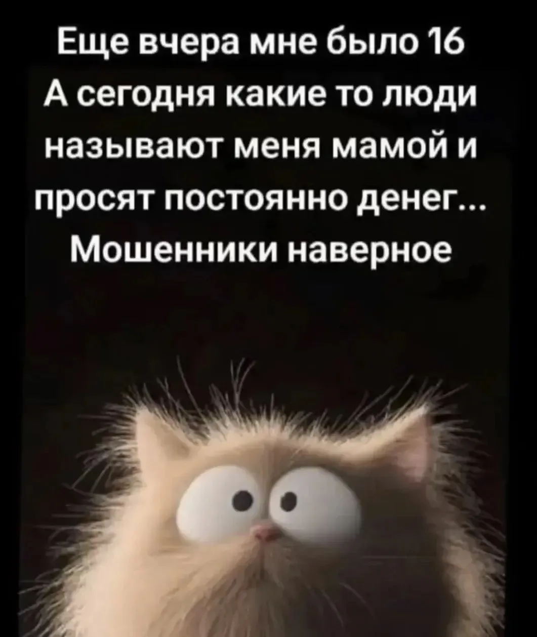 👉Юмористка