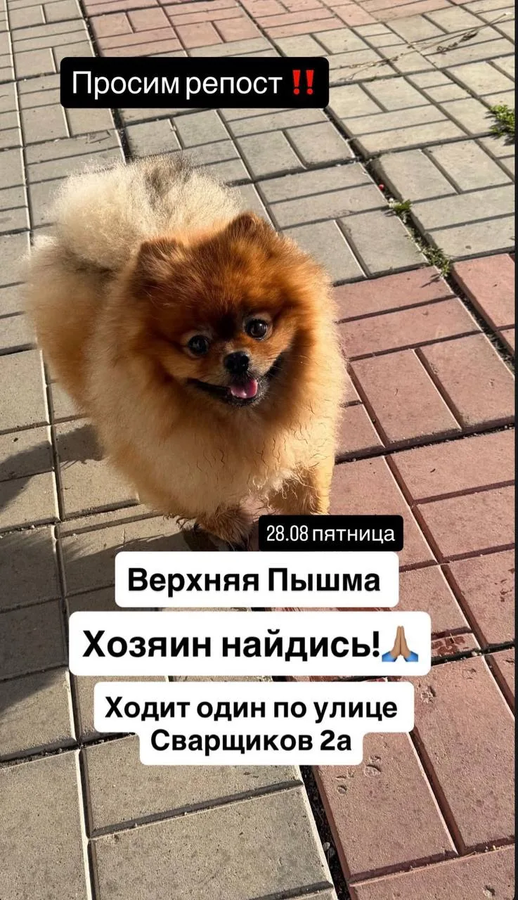 *** ДОМА ***