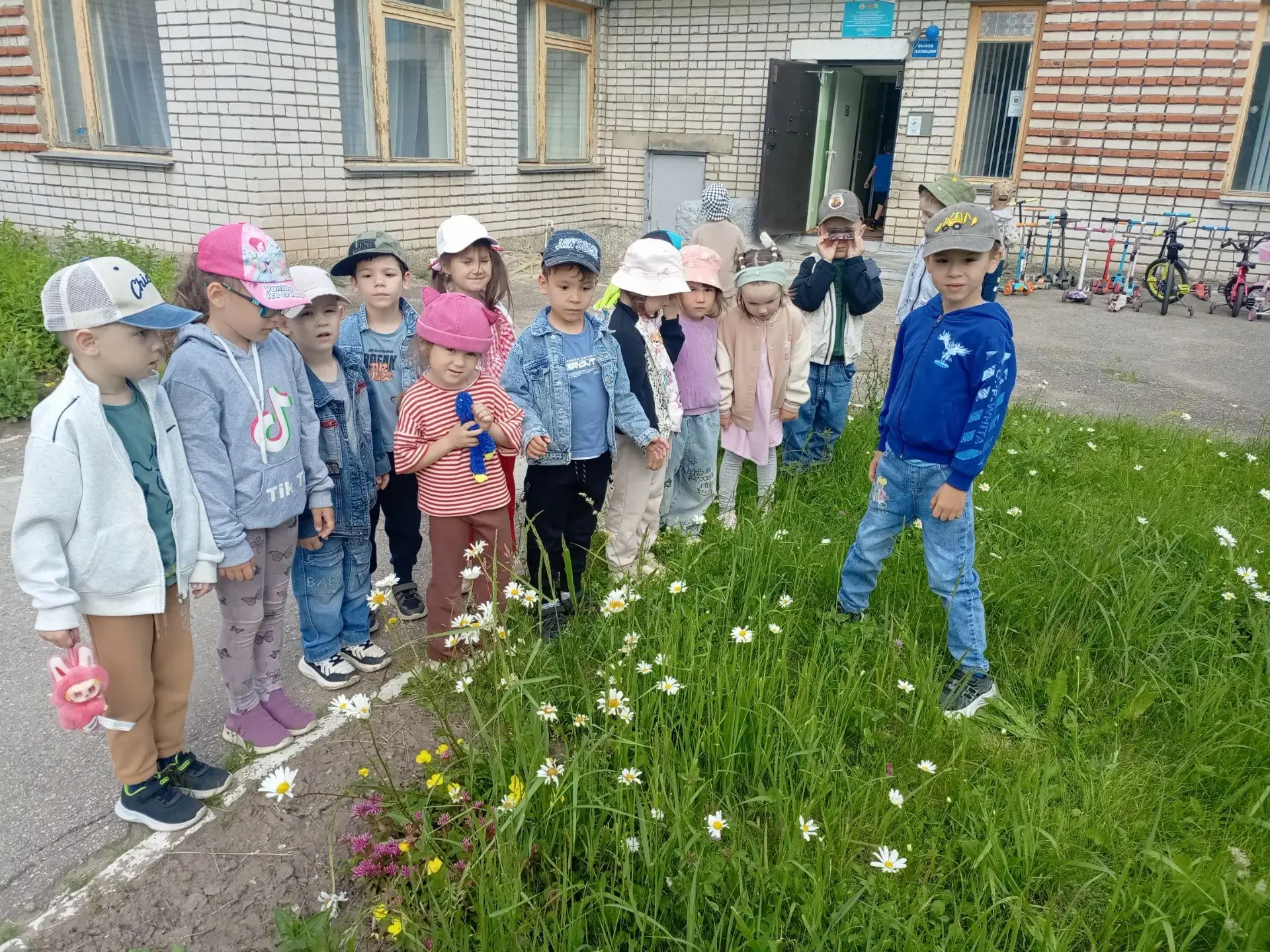День ромашки.

День ромашек отмечается в России 24 июня. Праздник посвящен красоте и нежности этого 