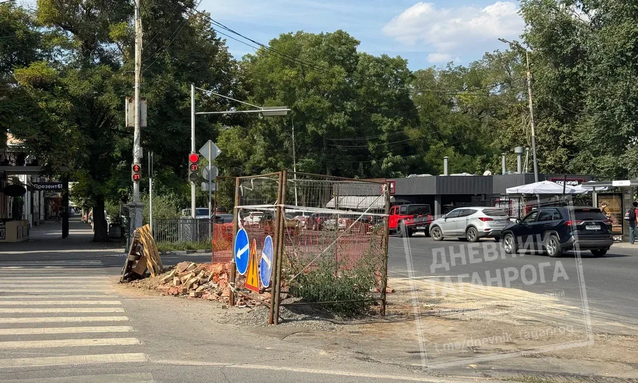 🌳 Пока город следил за визитом губернатора с почти концертным размахом - кортеж, ГАИ, ...