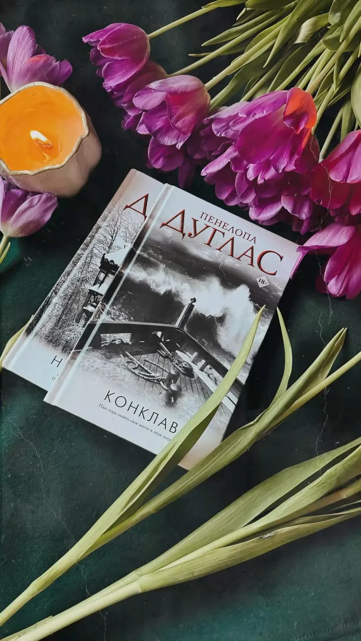 Это промежуточная небольшая история. События происходят после книг Испорченный, убежище...