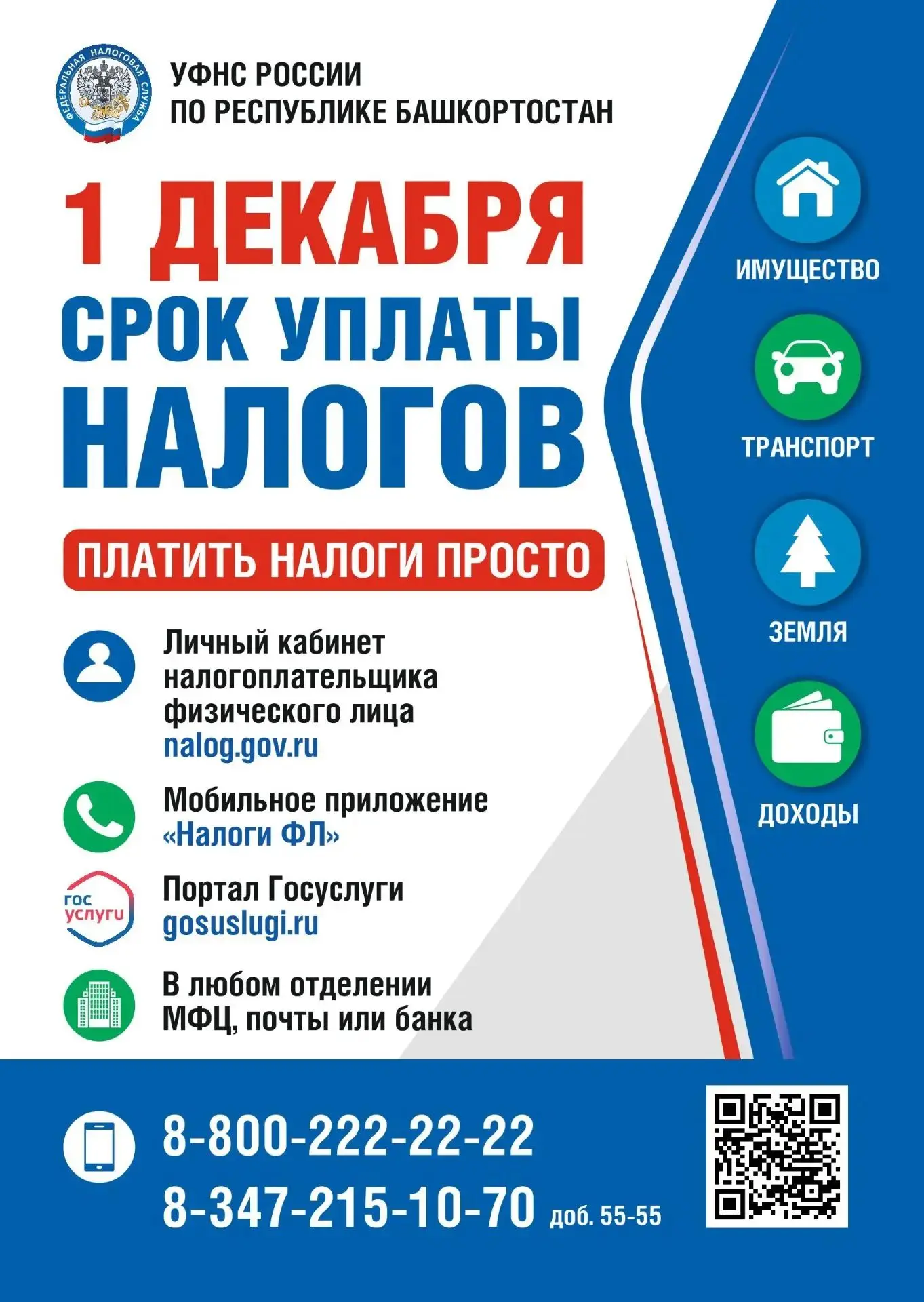 1 декабря - срок уплаты налогов!
