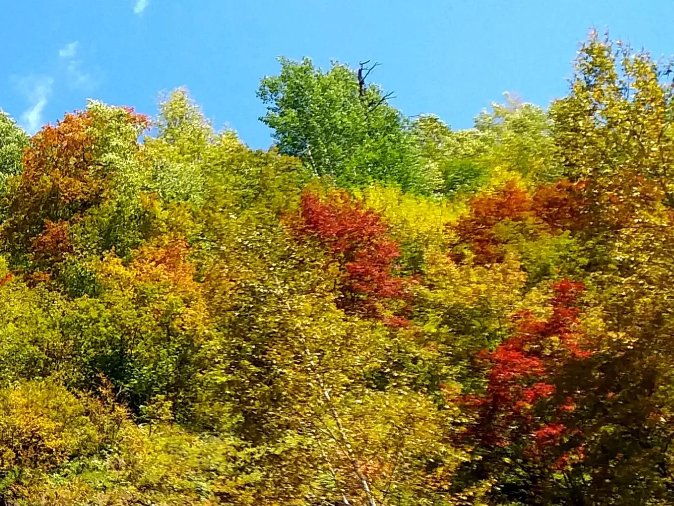 📍Молодёжное сегодня. 📸