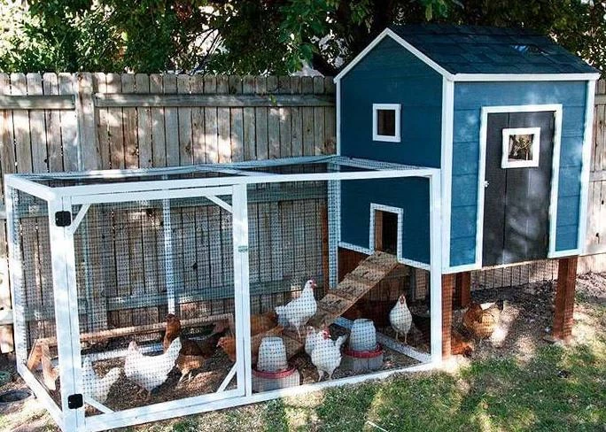Наши овации тем, кто умудряется еще и содержать кур на даче!🐓