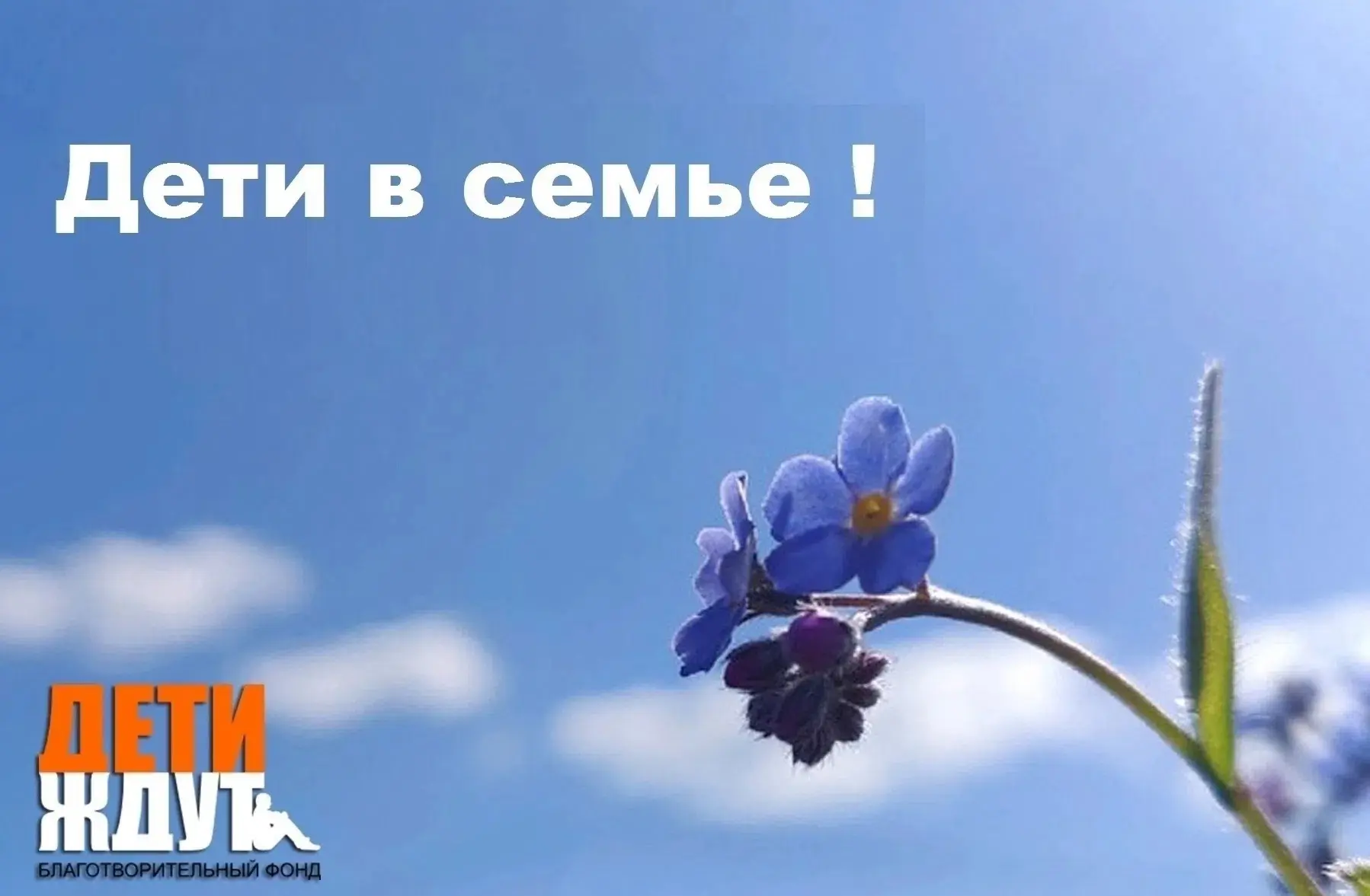 ❤️ ДЕТИ ДОМА