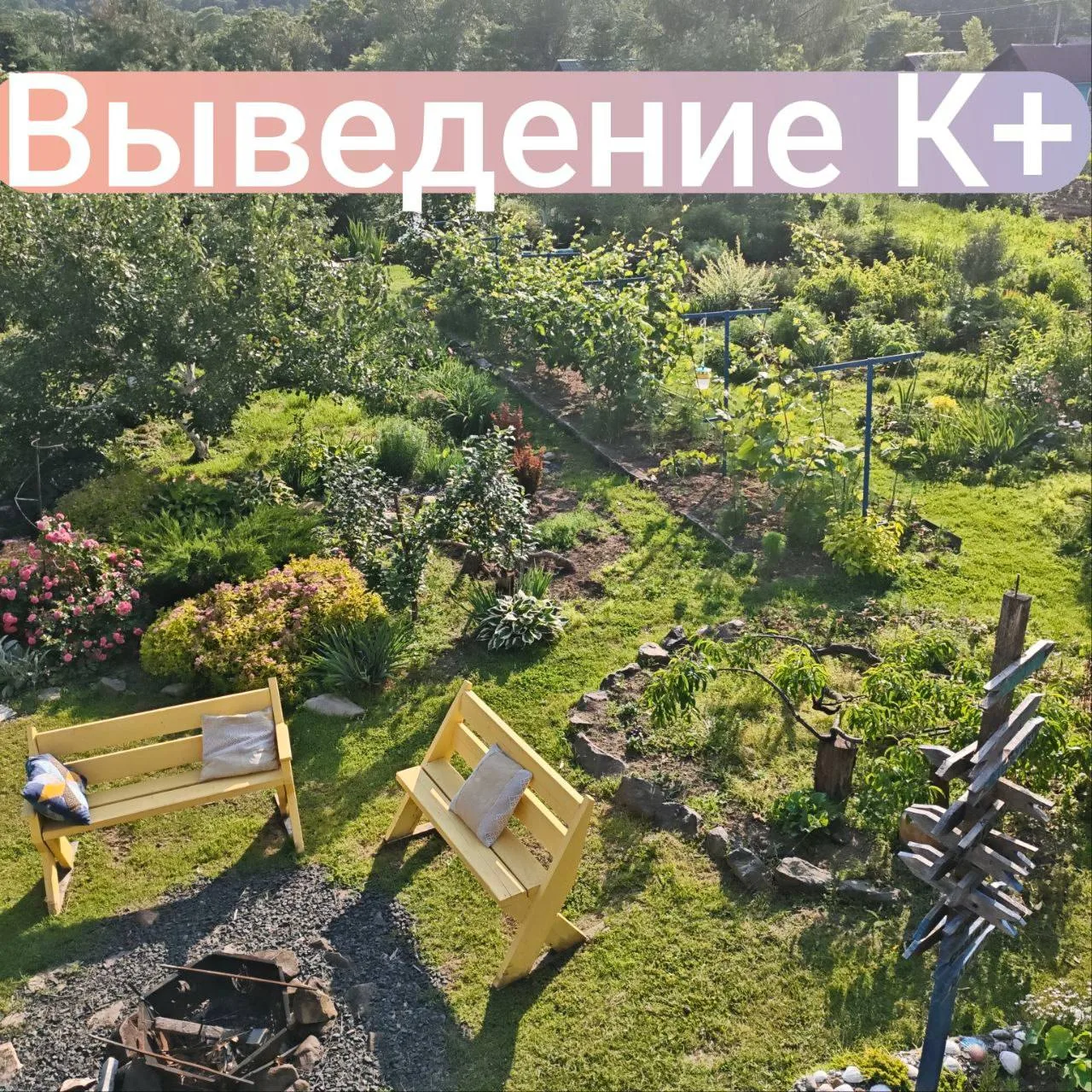 👩‍⚕️По следам пройденных обучений немного закрепим теоретический материал.