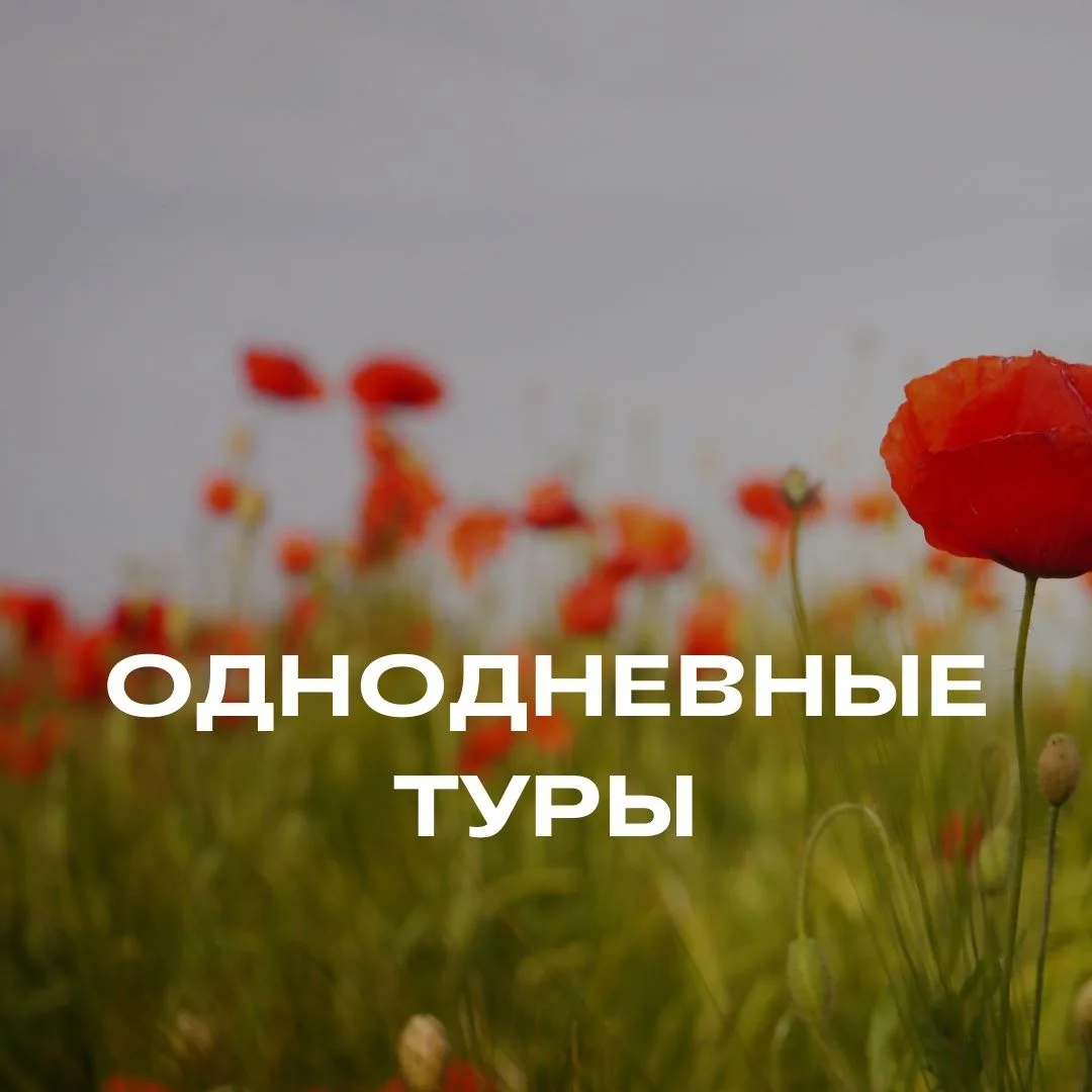 📸 Однодневные туры на майские праздники 🔥🚌