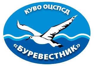 Учреждение эффективно функционирует в системе социальной защиты Воронежской области. Во...