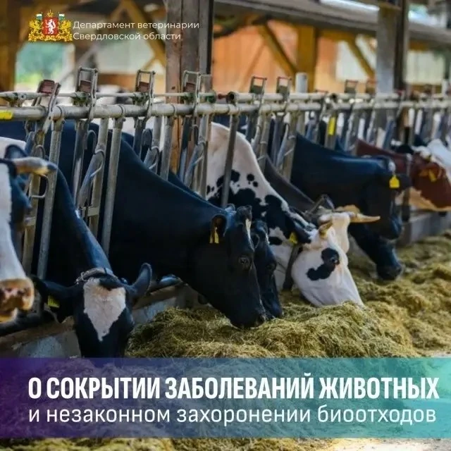 Сокрытие случаев заболевания или падежа животных, а также захоронение биологических отходов в несанк