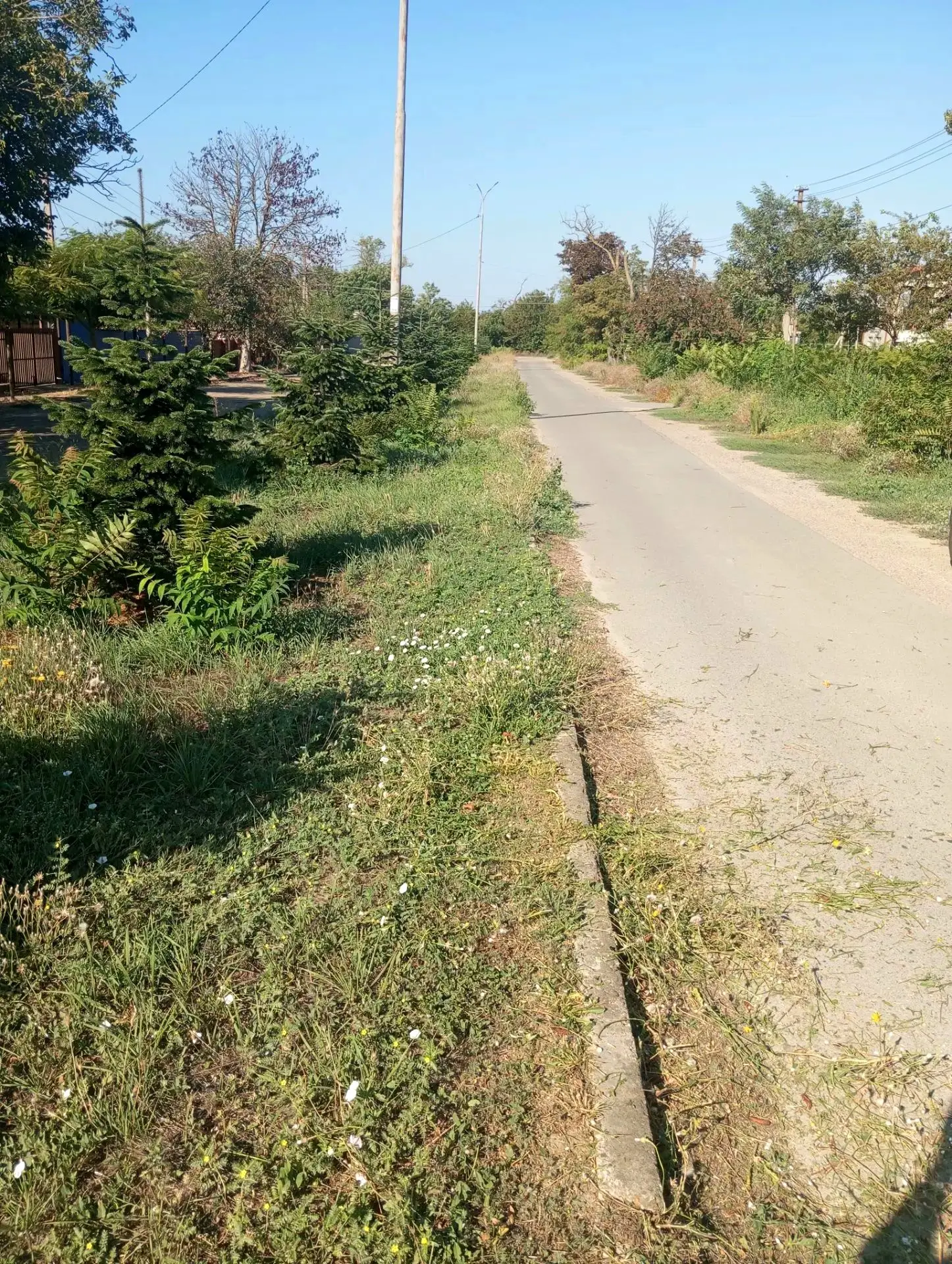 Продолжается покос сорной растительности в поселке Веселовка на улице Гвардейской.