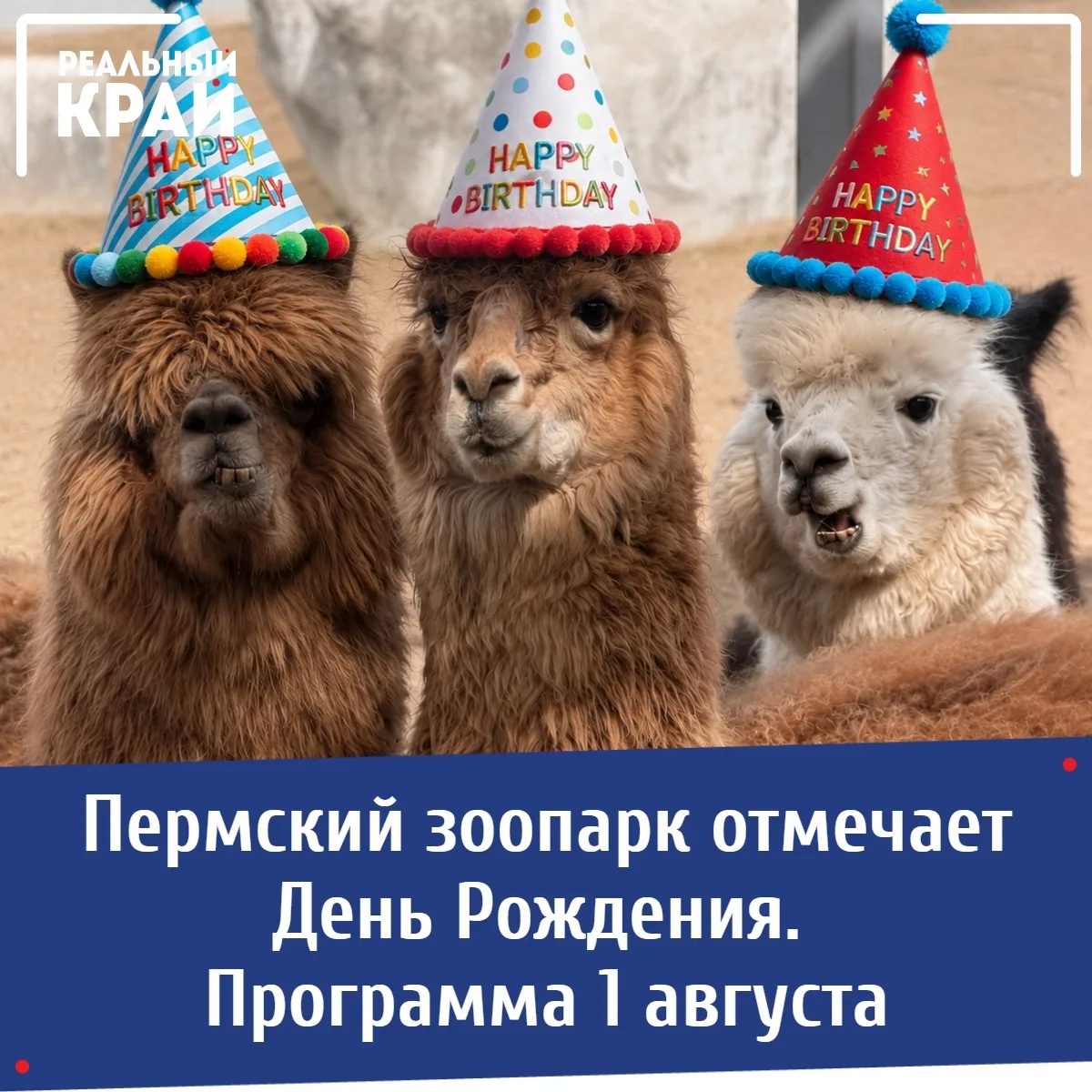 1 августа Пермский зоопарк с размахом отметит свой 93-й день рождения! 🥳 
⠀
В честь праздника для г