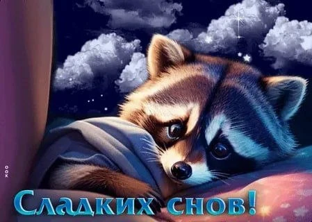 🌜Доброй ночи, дорогие подписчики! Доброй ночи, Запорожье!😴