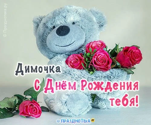 Дорогой наш Дима! 🎉