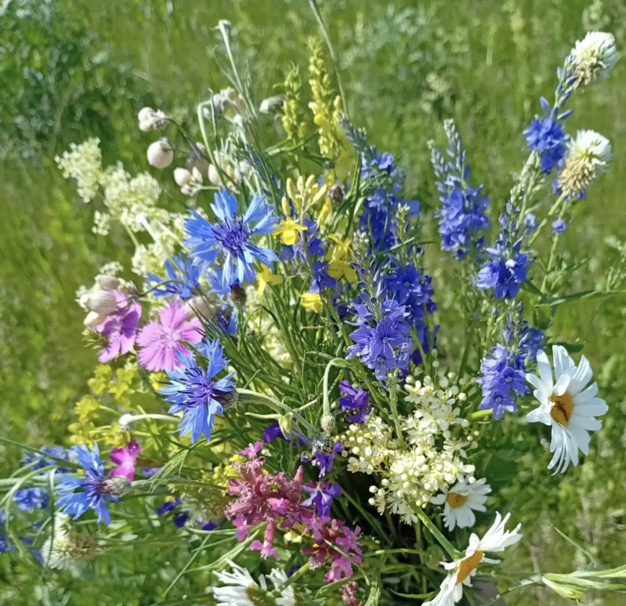 💖 Доброе утро!
🌺Пусть этот день начнётся с улыбки, приятных мыслей и добрых новостей. Желаем вам д