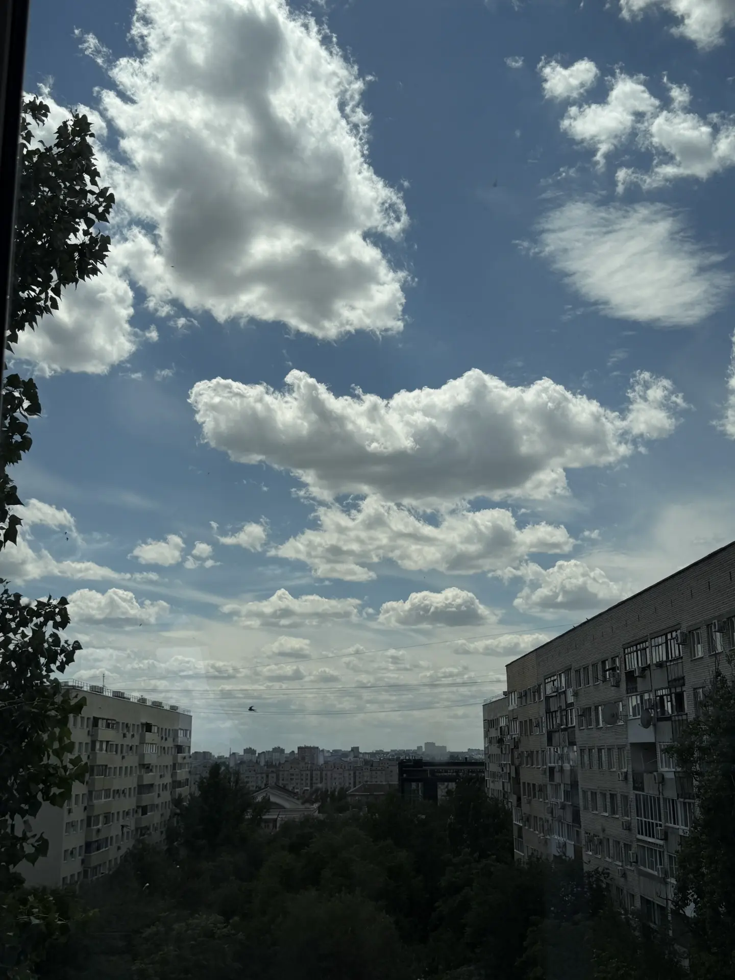 У всех же рано или поздно балкон превращается в склад или гараж?😂

У нас — да!

Надо с этим что-то 