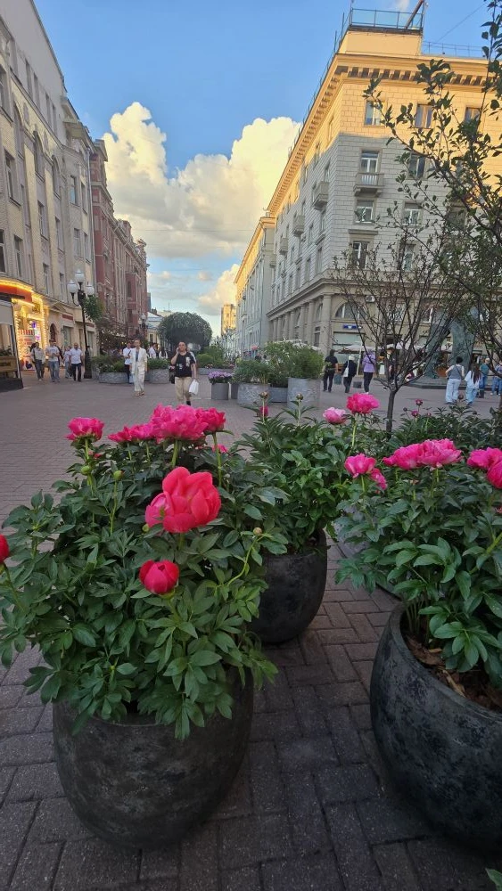 Говорят, прогулка — лучший способ снять стресс. Тем более летом, когда на улице такая к...