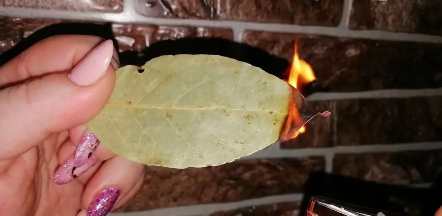 🍃 СДЕЛАЙТЕ ЭТО С ЛАВРОМ В ОКТЯБРЕ