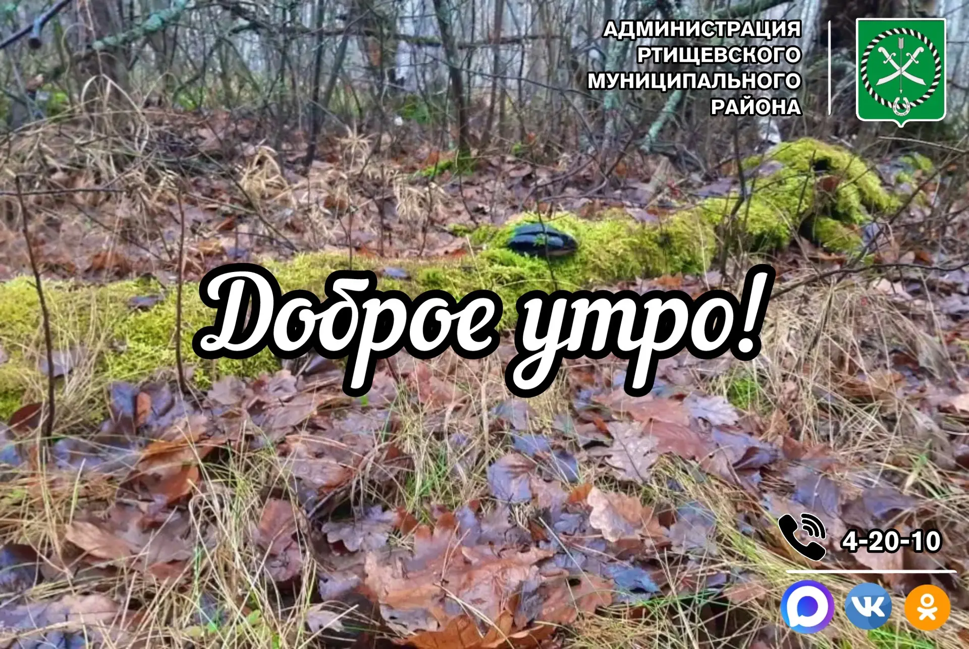 Доброе утро, дорогие подписчики!