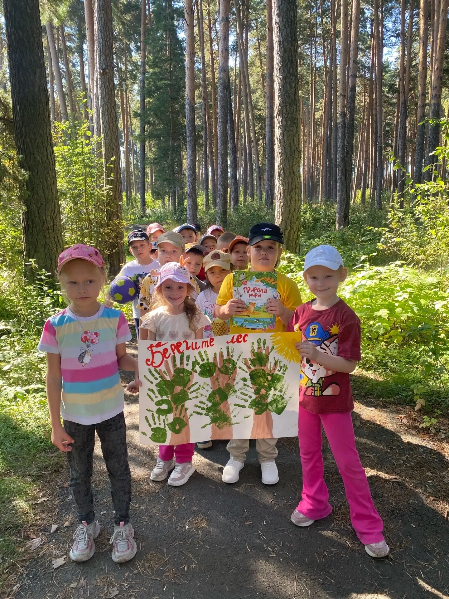🌲 Экологическая прогулка в лес летом: как провести время с пользой для души и природы