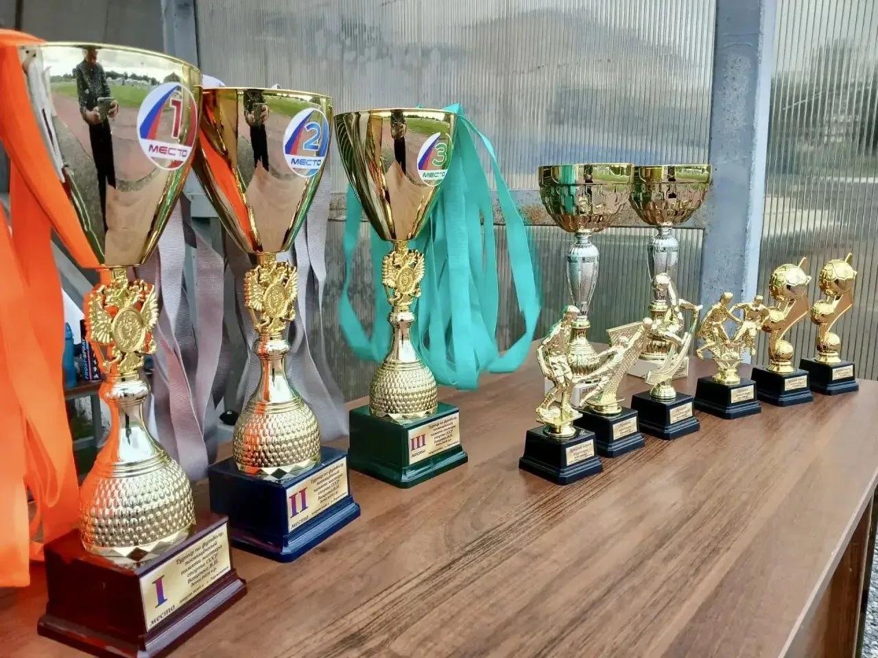 ⚽ ПЕРВЕНСТВО ПАМЯТИ ВИКТОРА ИВАНОВИЧА ВАЩЕНКО: КОГДА ФУТБОЛ ГОВОРИТ ГРОМЧЕ СЛОВ