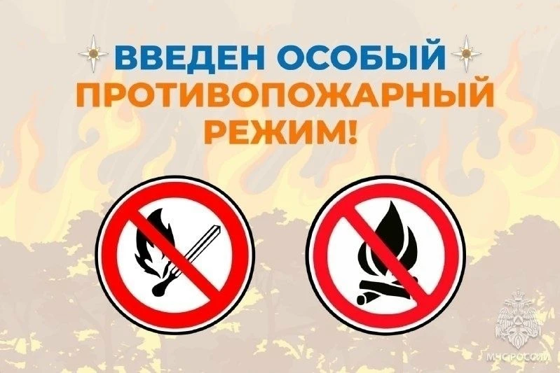 В Ульяновской области действует особый противопожарный режим.