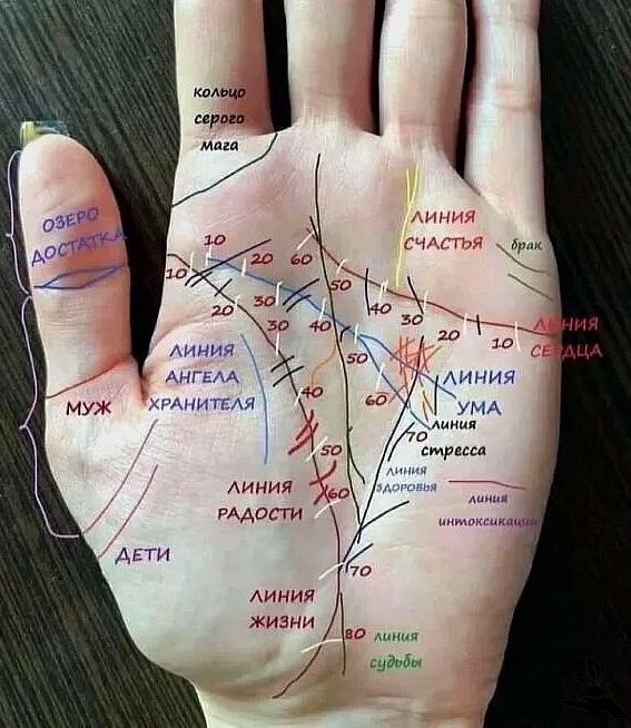 Совпало ли у вас?😉