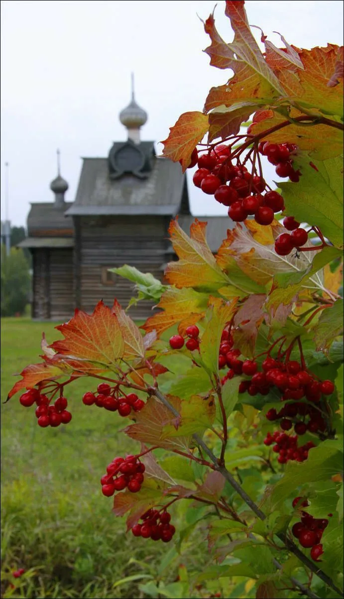 Поздравляю тебя с наступление прекрасного утра!🍁🍂🌲
