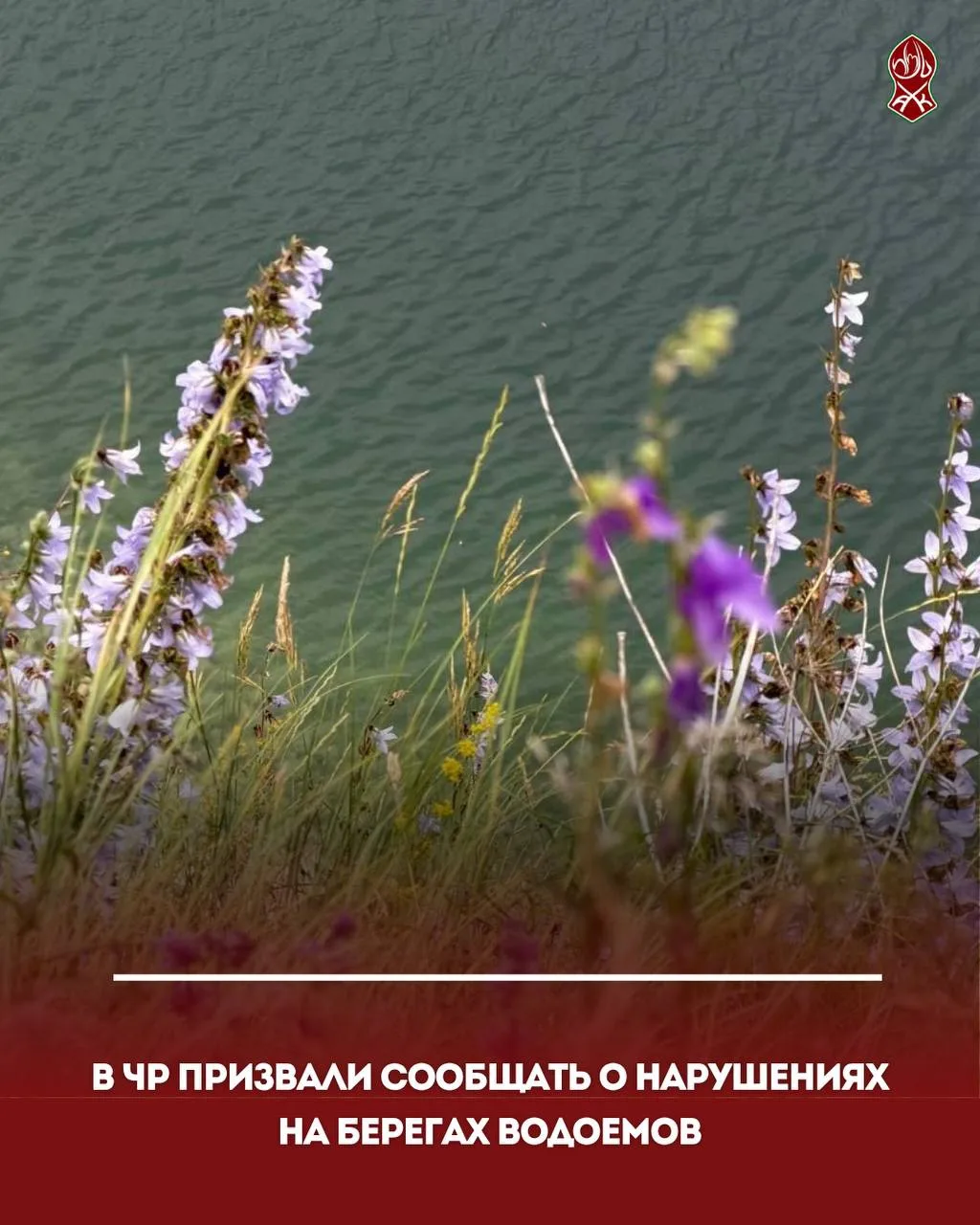 В ЧР призвали сообщать о нарушениях на берегах водоемов