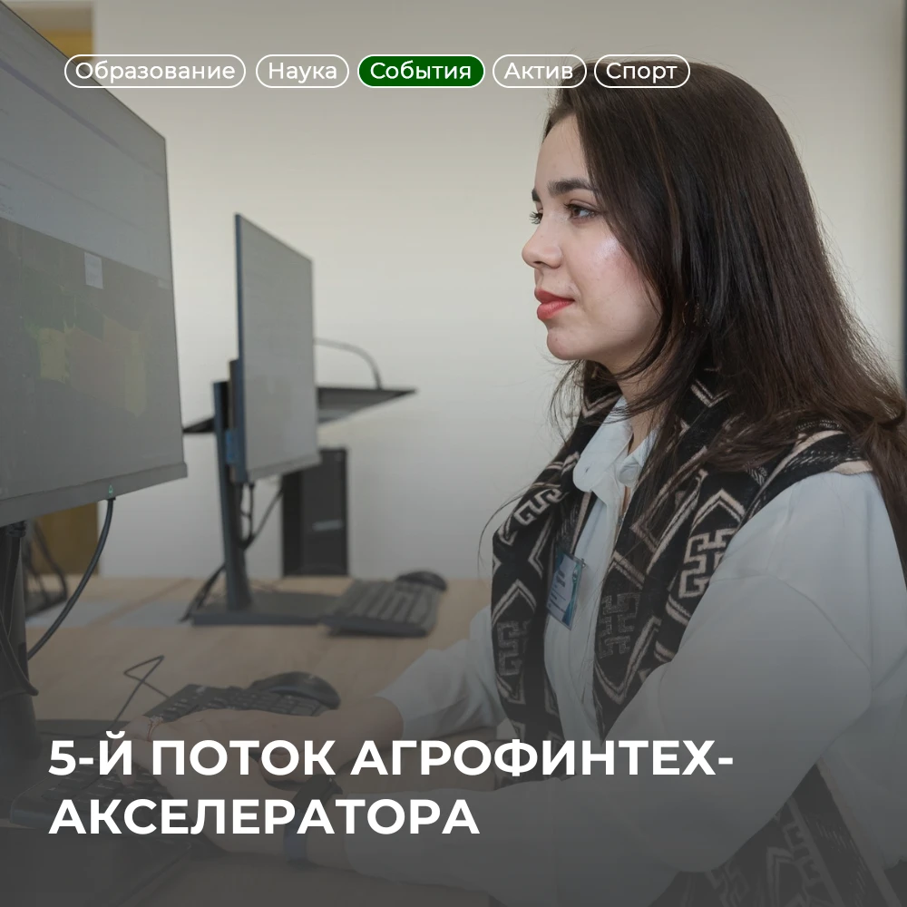 🚀 Есть идея? Пора проверить её в деле!