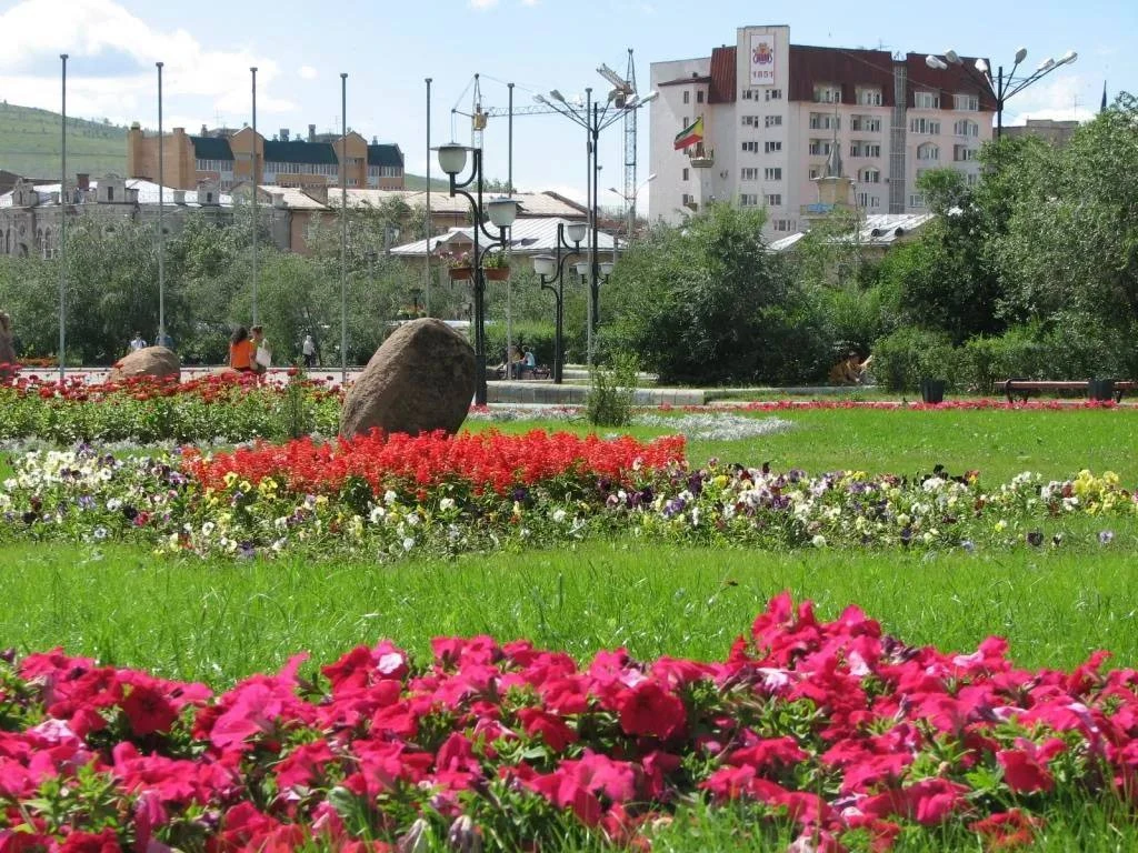 🌳 Массовое озеленение Читы впервые прошло в 1955–1959 годах. Тогда на улицах высадили ...