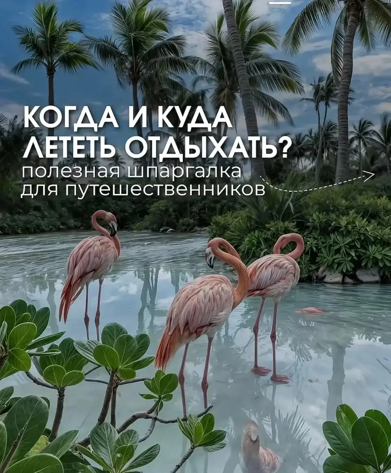 Шпаргалка по сезонам: куда и когда лучше ехать