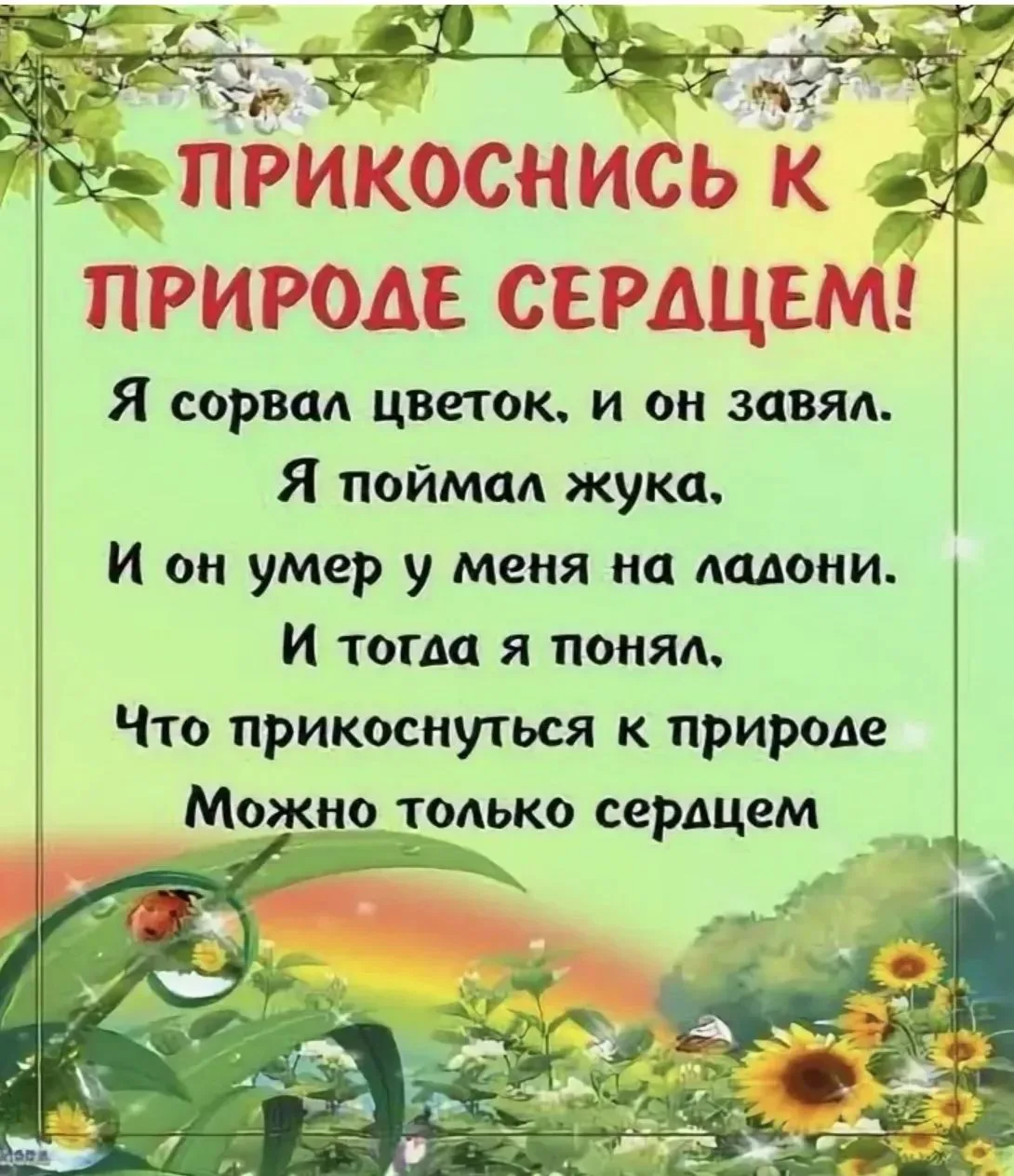 🌳🌿🌳В группе «Почемучки» сегодня проходило экологическое мероприятие «Береги природу» 
Ребята узна