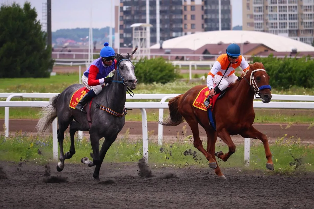 🏇 7 августа на Казанском ипподроме пройдут главные призы сезона для лошадей арабской п...