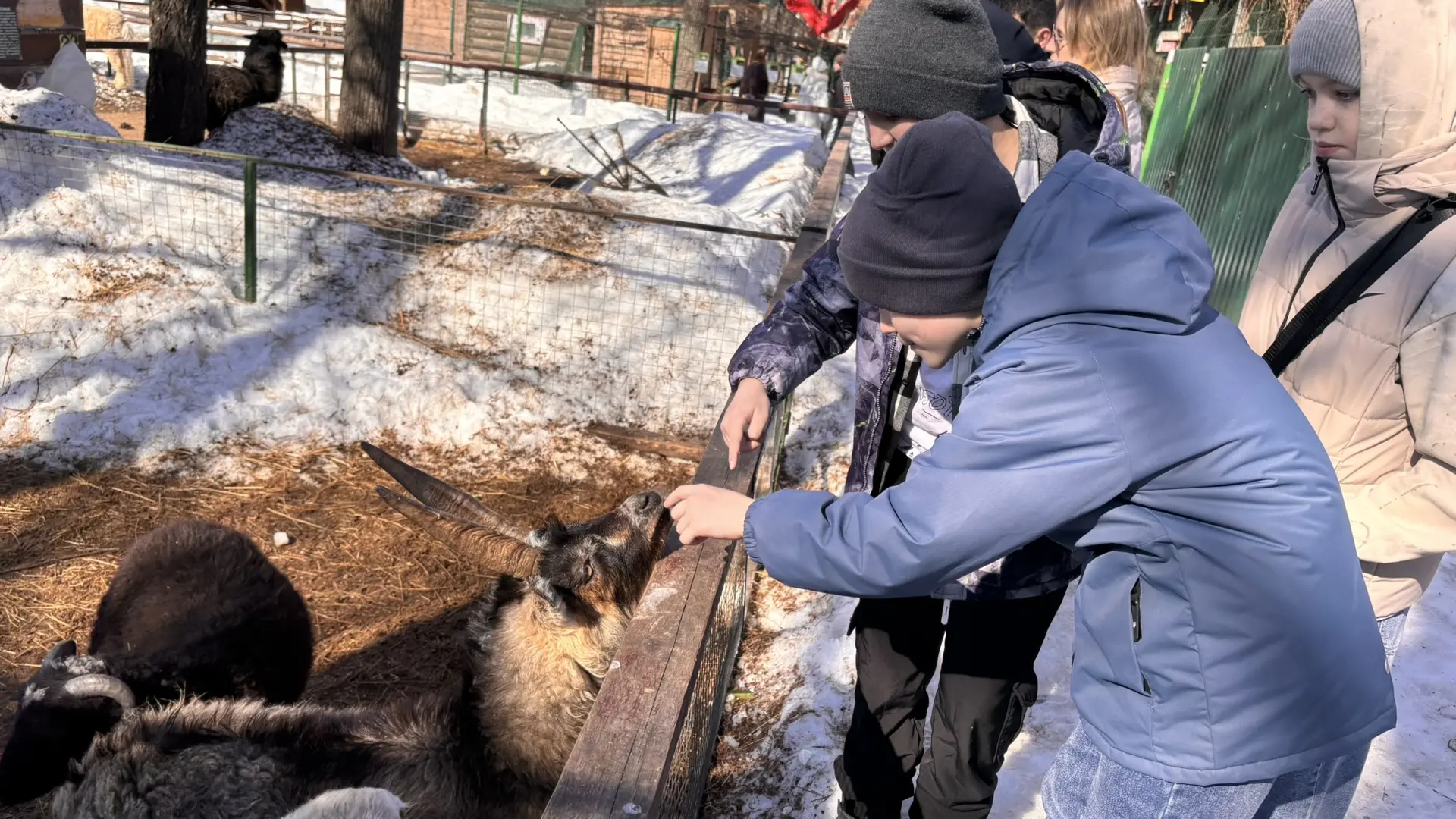 🐫Ученики 5Р класса посетили зооуголок «Ковчег» в Чебоксарском городском детском парке им. космонавта