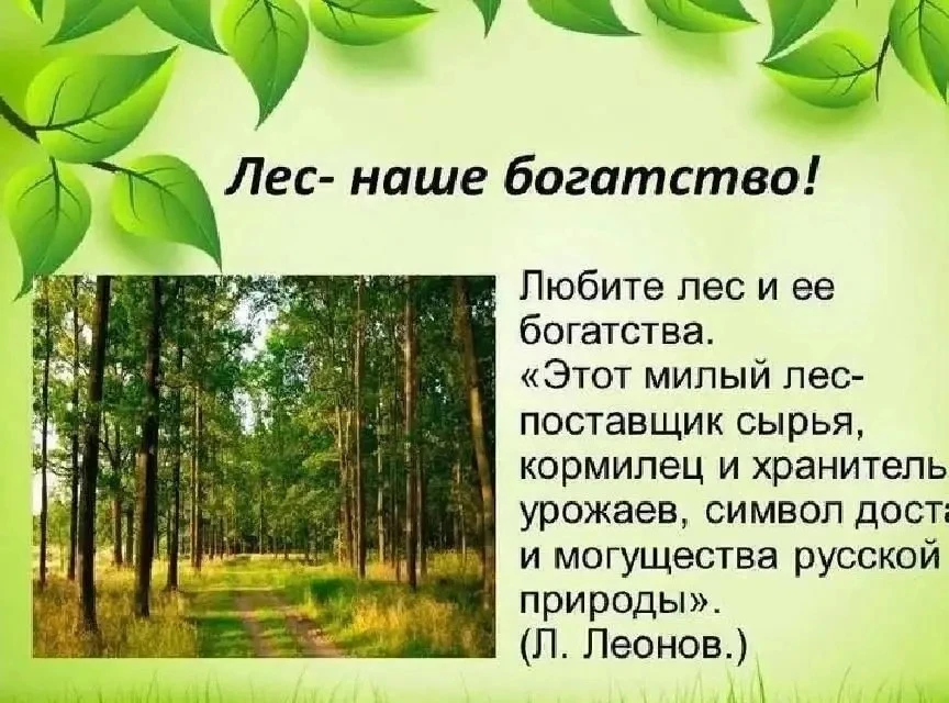🎄🌳 15 сентября — Российский день леса! 🌲🍂