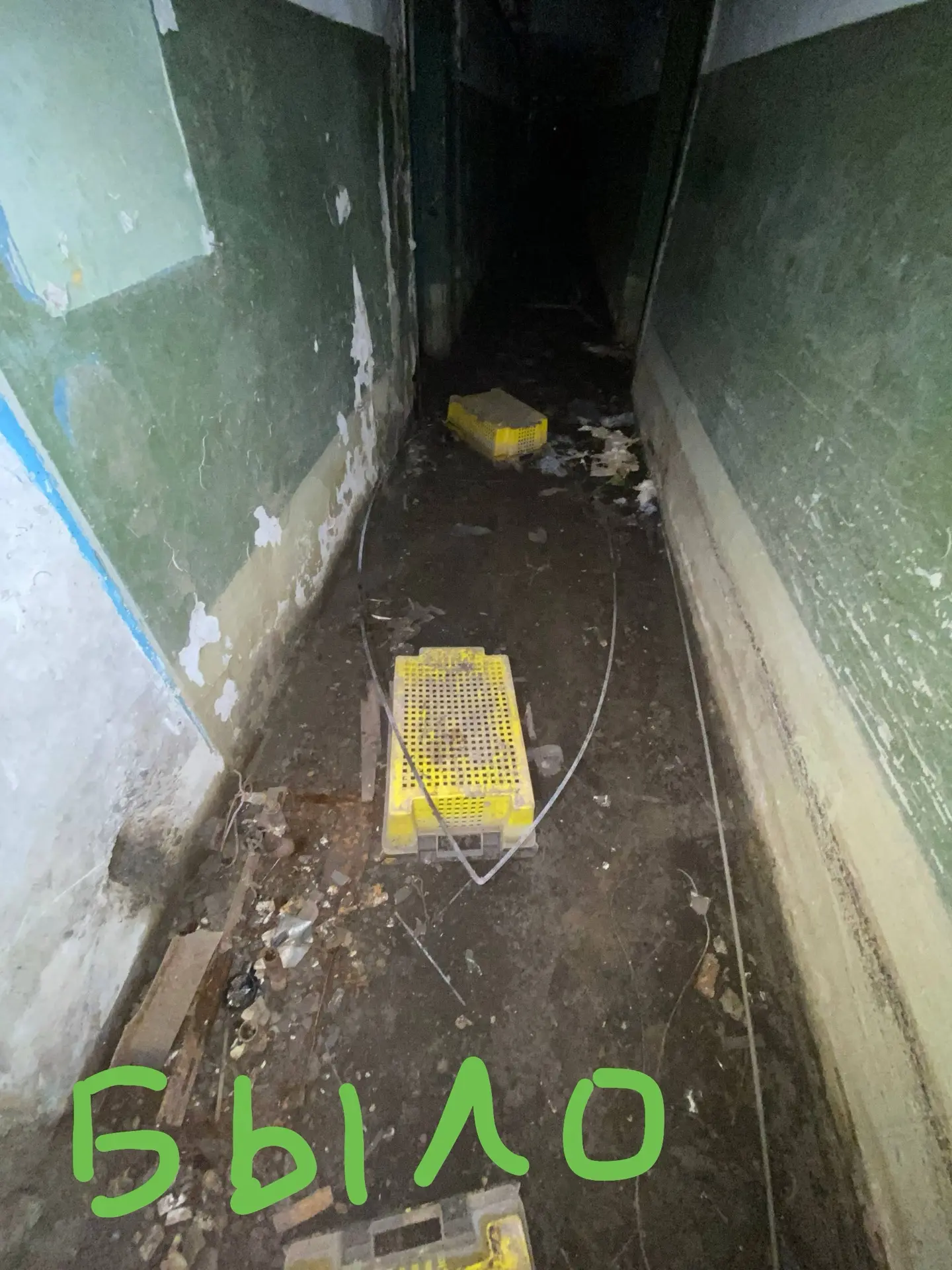 Друзья, отличные новости из подвала дома по Юрина, 241 в городе Барнауле!