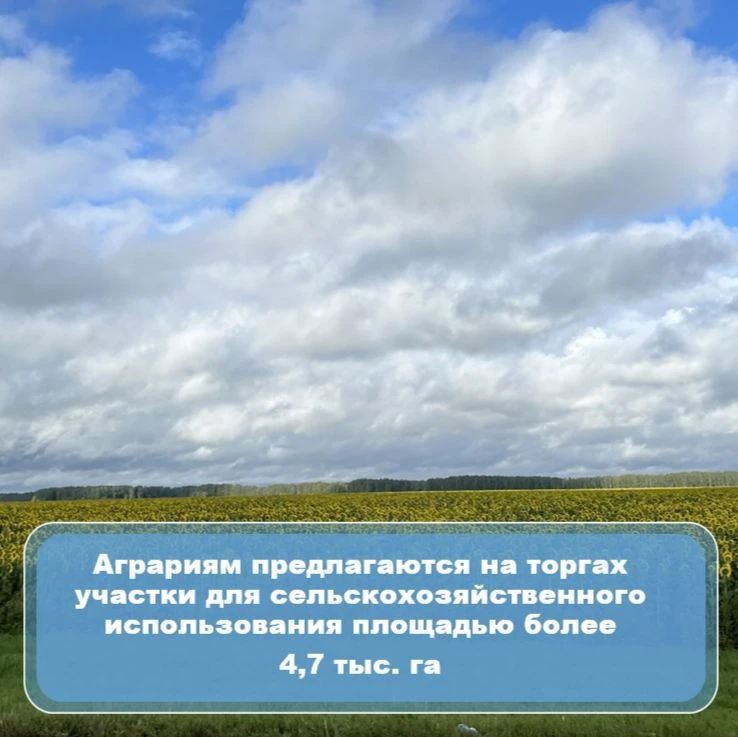 📌Земельный фонд Омской области объявил о старте приема заявок для участия в торгах на ...